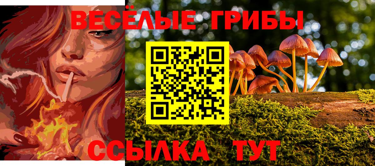 Галлюциногенные грибы GOLDEN TEACHER Таганрог